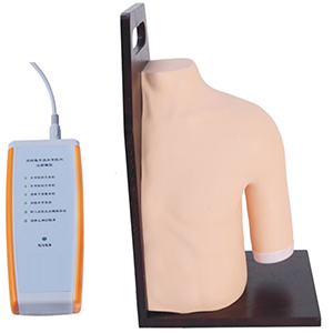 Shoulder Joints Intracavity Injection Training Model